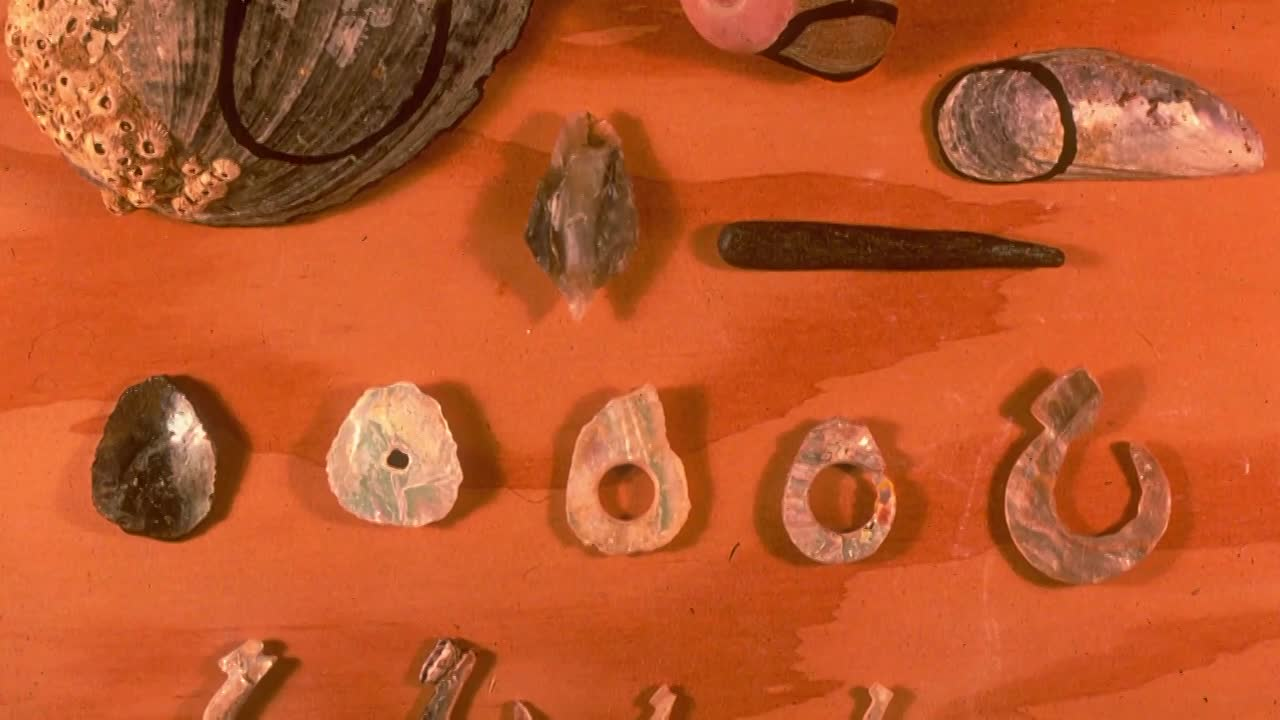 Science How? Island Biodiversity – Tracking Human Influences
