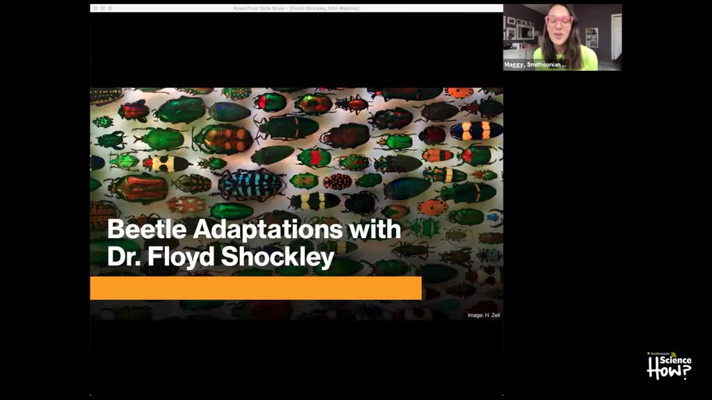 Science How? Webinar - Beetle Adaptations for Survival with Floyd Shockley